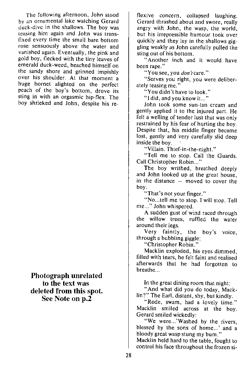 P.A.N. - Paedo Alert News, Number 21, December 1985, page 28