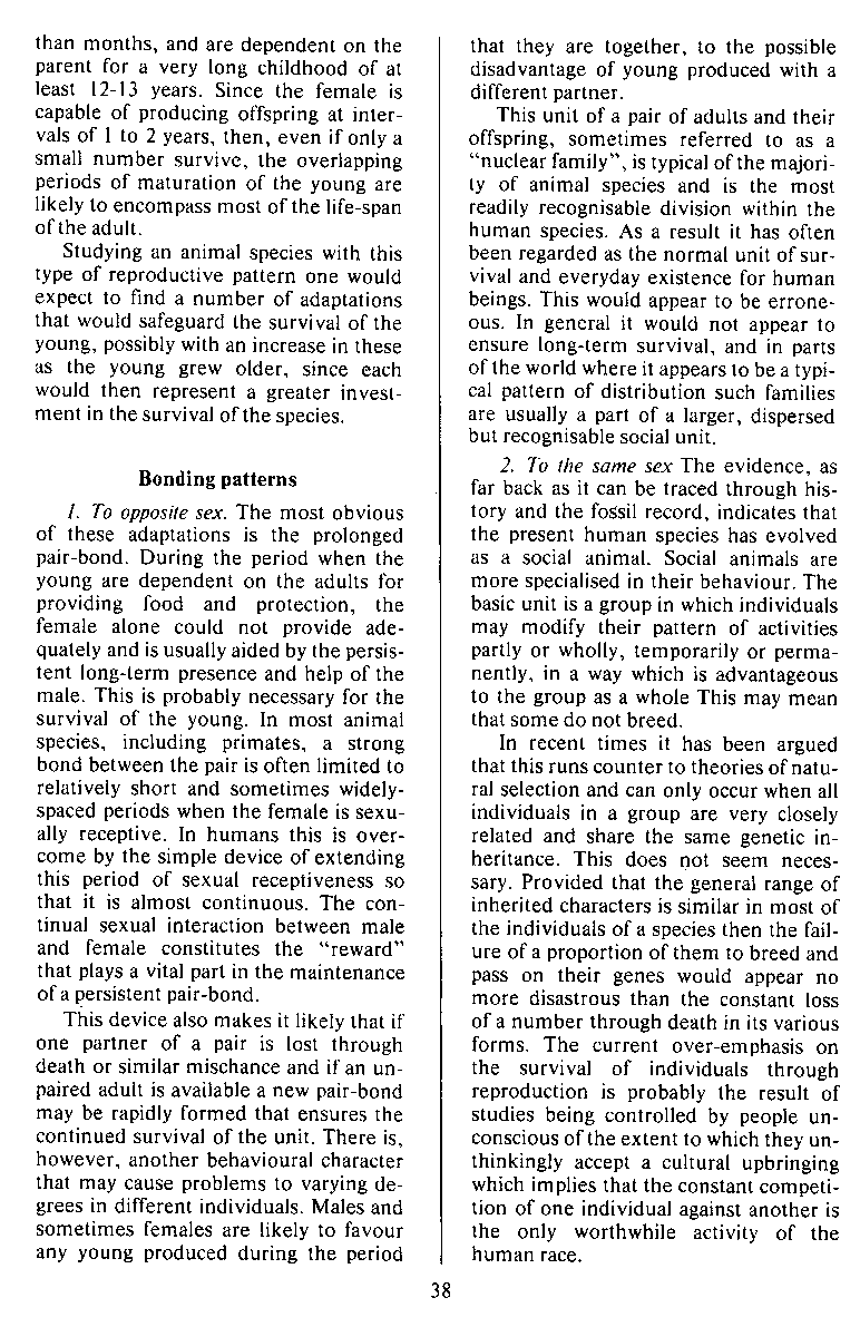 P.A.N. - Paedo Alert News, Number 21, December 1985, page 38